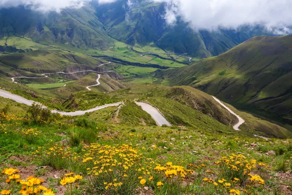 Peru — Reforestation Projects